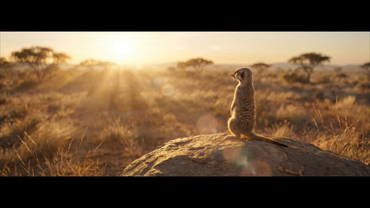 Jeder Morgen beginnt mit einer Mission - Kaffeestudio Shop